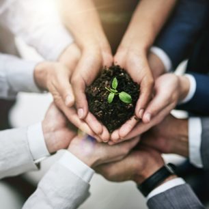 Cropped shot of a team of colleagues holding a plant growing out of soil